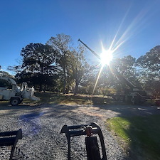 Tree-Removal-with-Crane-at-Woodlawn-Cemetery 10